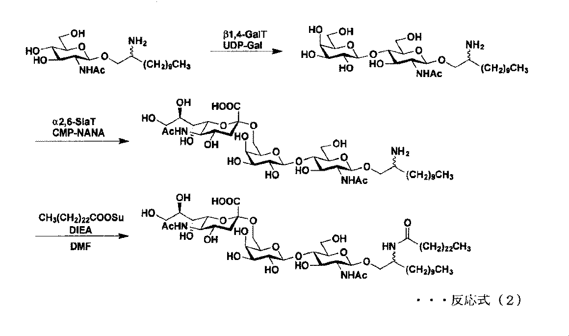 Figure JPOXMLDOC01-appb-C000005