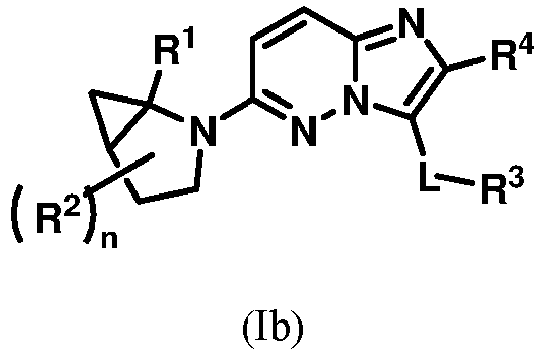Figure imgb0024