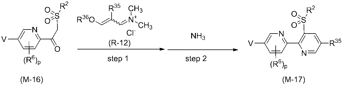 Figure JPOXMLDOC01-appb-C000030