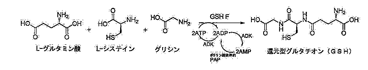 Figure JPOXMLDOC01-appb-C000012