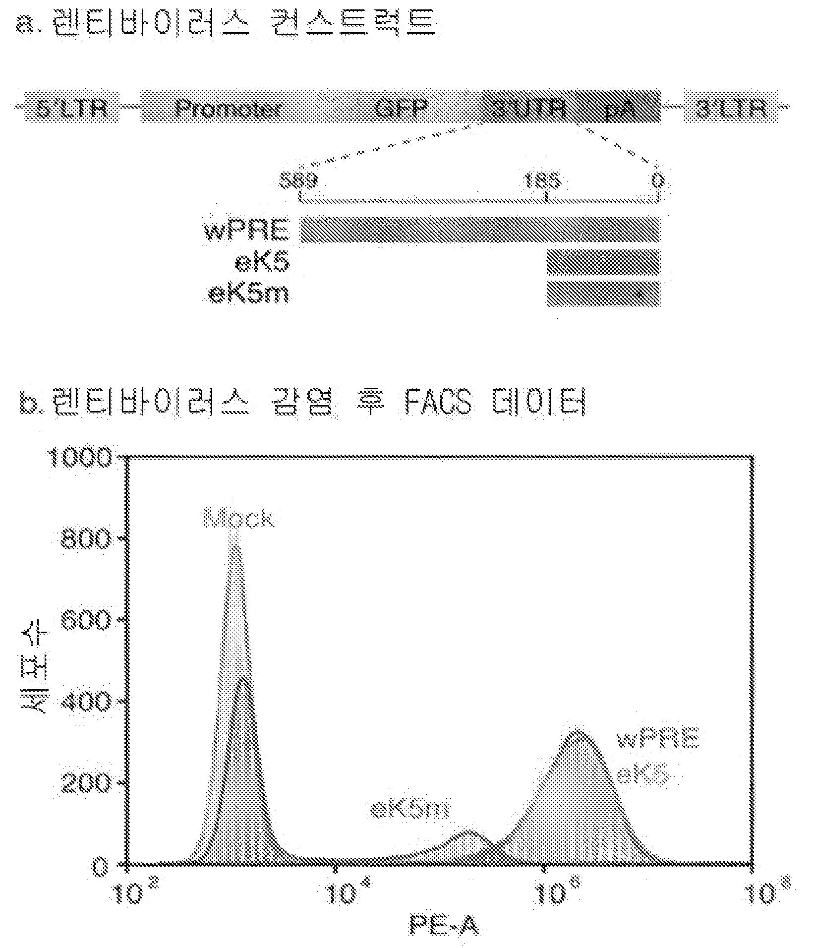 특허 도면 36