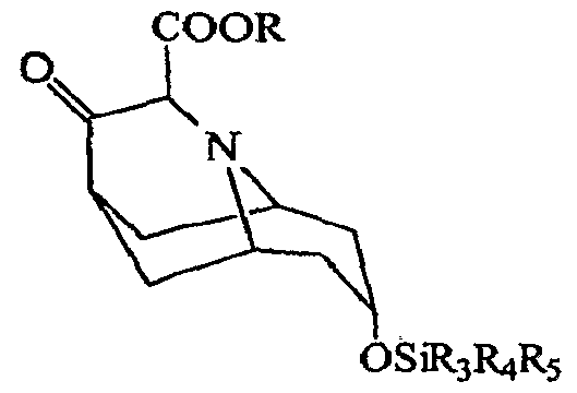 Figure imgf000011_0001