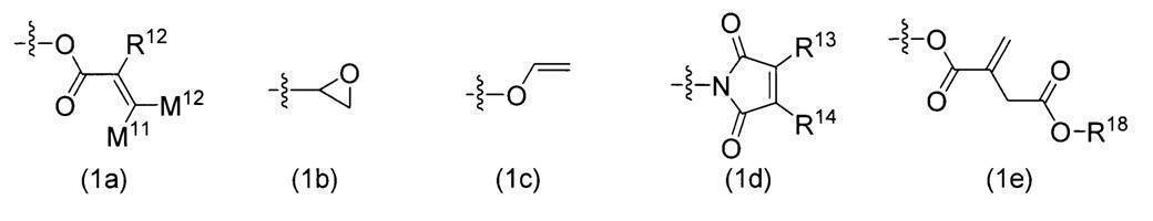 Figure JPOXMLDOC01-appb-C000041