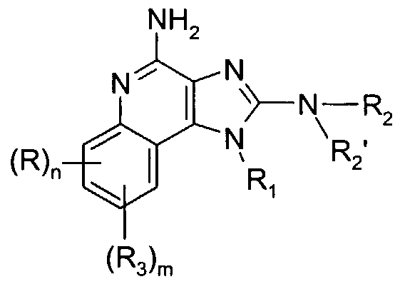 Figure imgf000003_0002