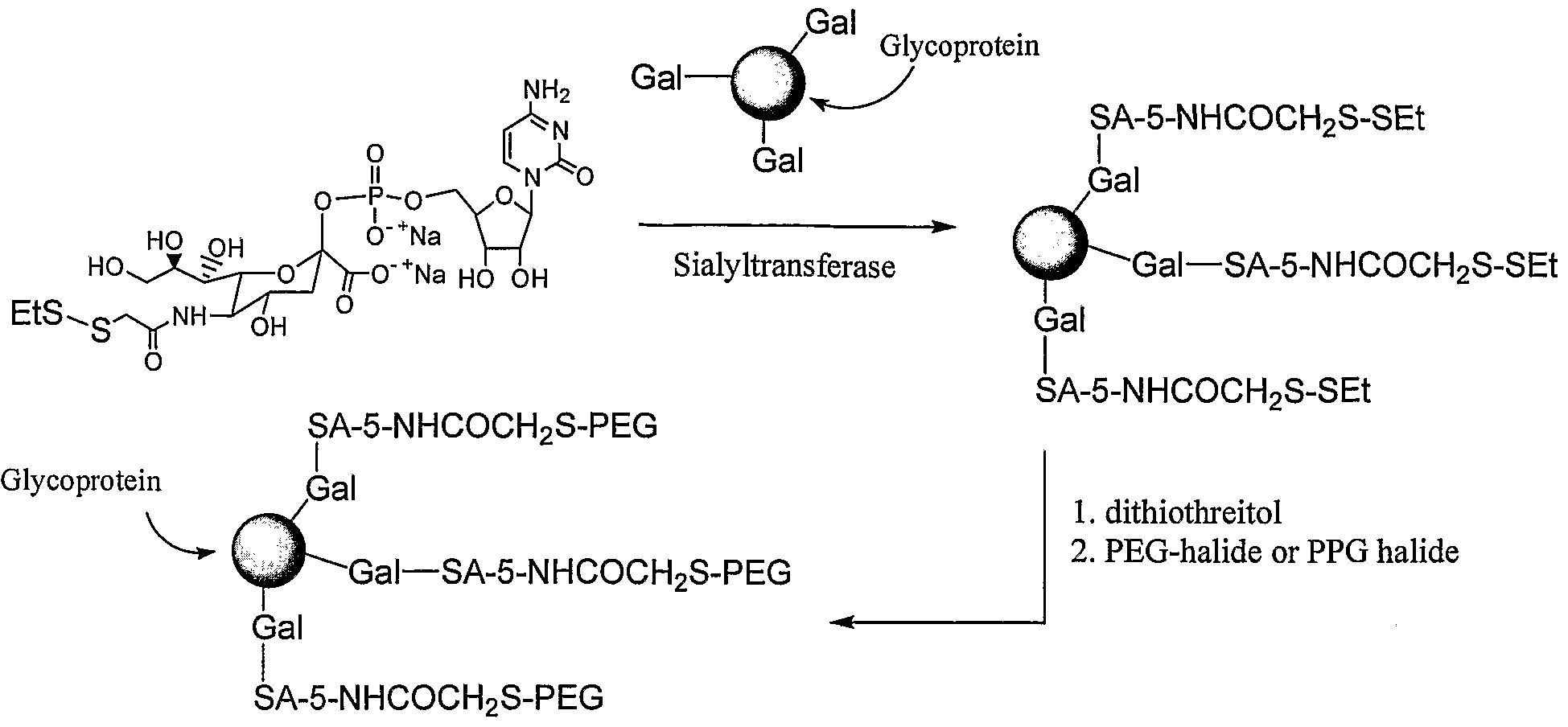Figure imgf000101_0001