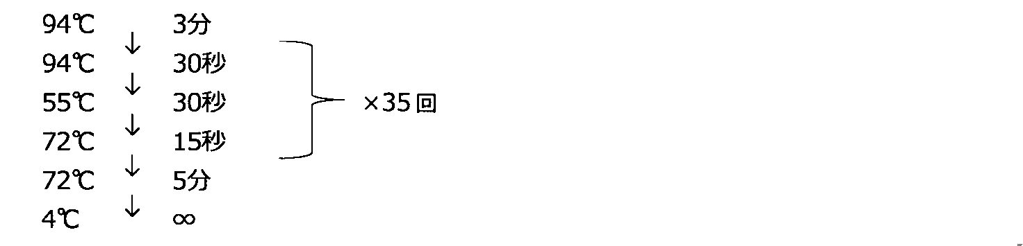 Figure JPOXMLDOC01-appb-I000002