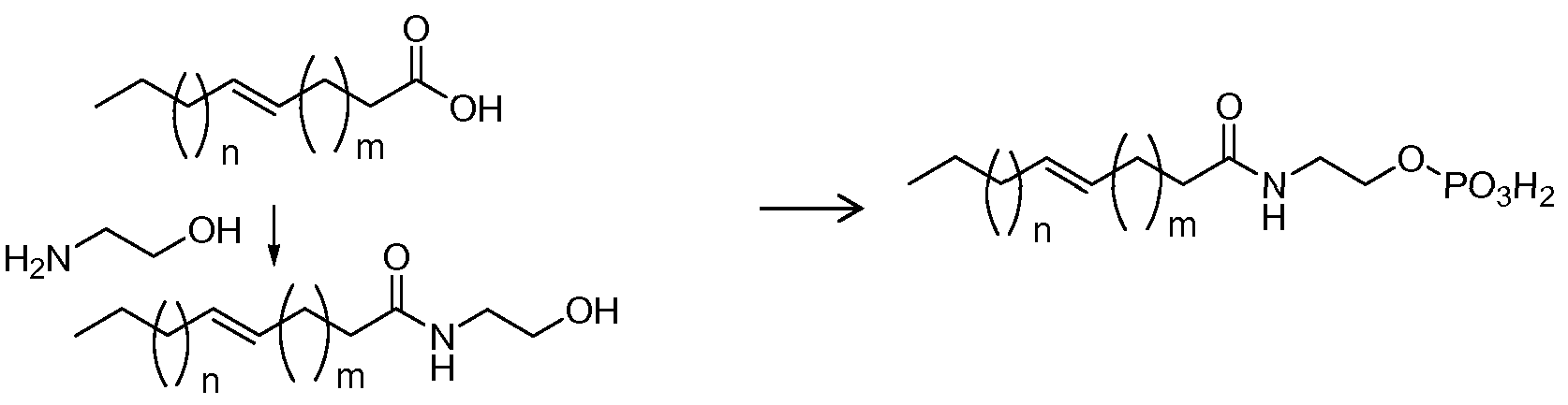 Figure imgf000006_0003