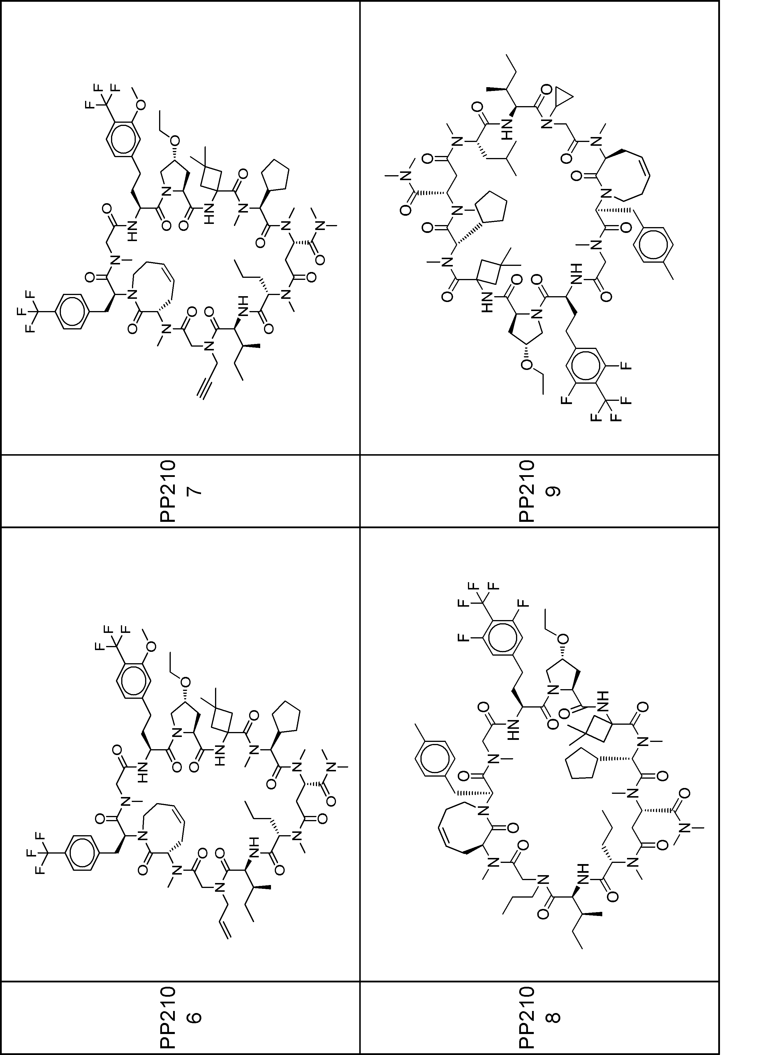 Figure JPOXMLDOC01-appb-I001000