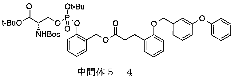 Figure JPOXMLDOC01-appb-C000048