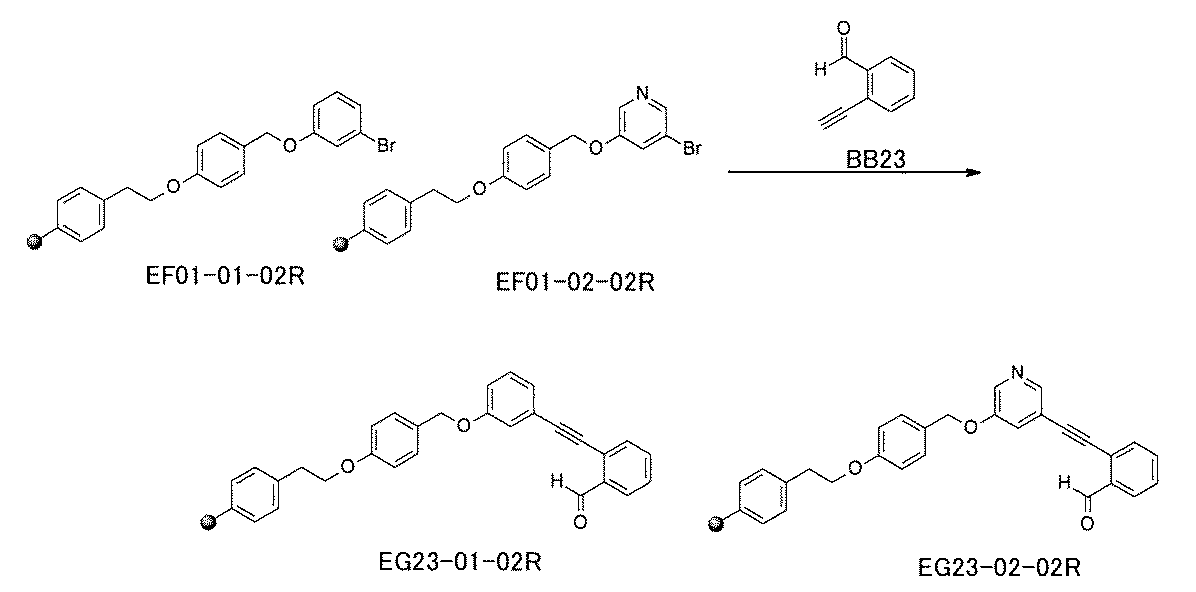 Figure JPOXMLDOC01-appb-C000785