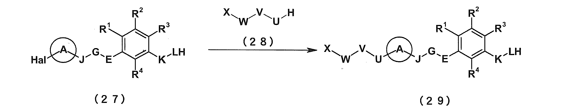Figure JPOXMLDOC01-appb-C000072