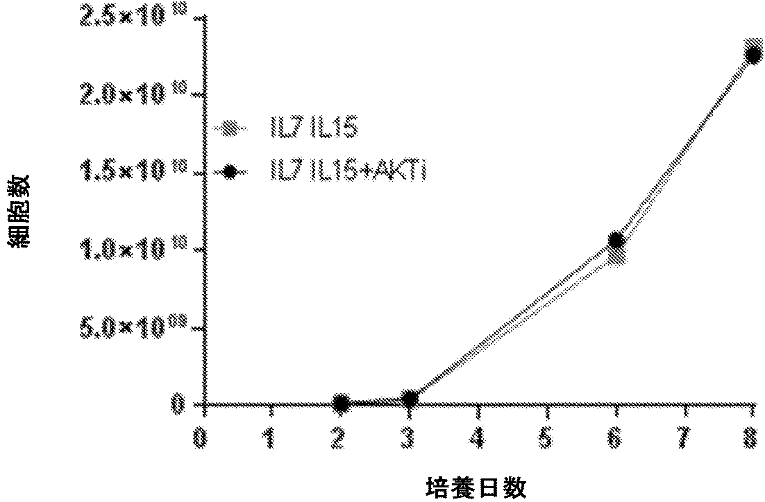 Jpa6 t細胞療法用のt細胞を調製する方法 Google Patents Jpa6 t細胞療法用のt細胞を調製する方法 Google Patents
