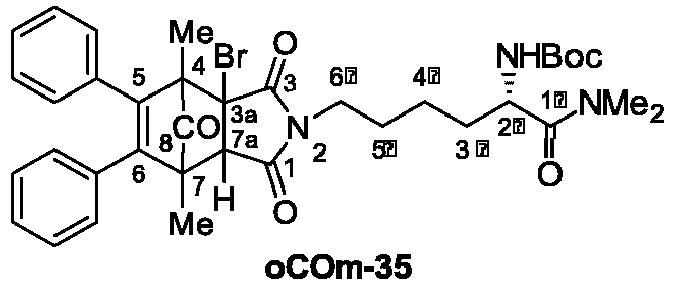 Figure imgb0200