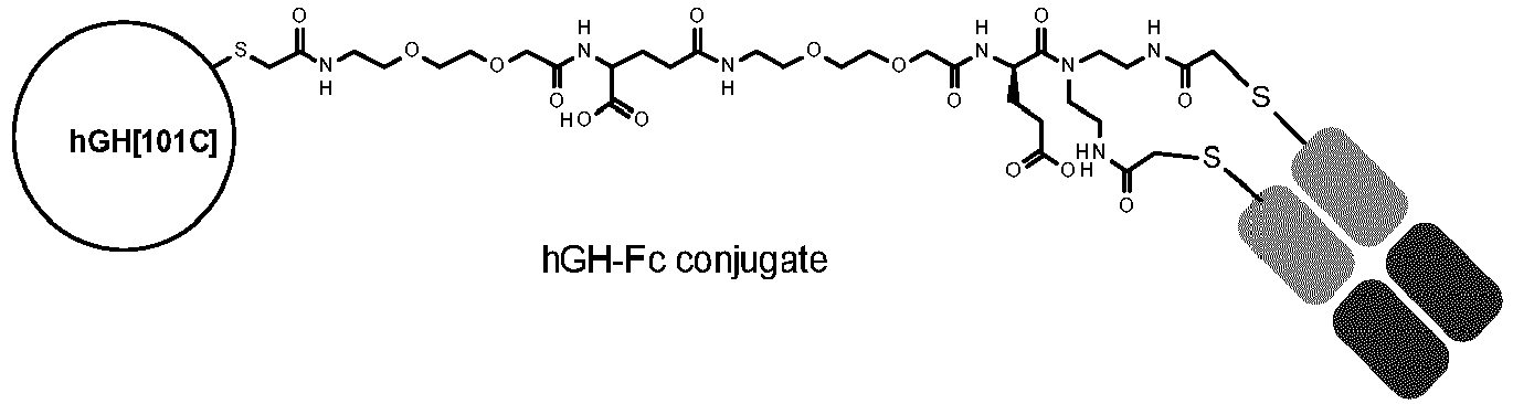 Figure imgb0026