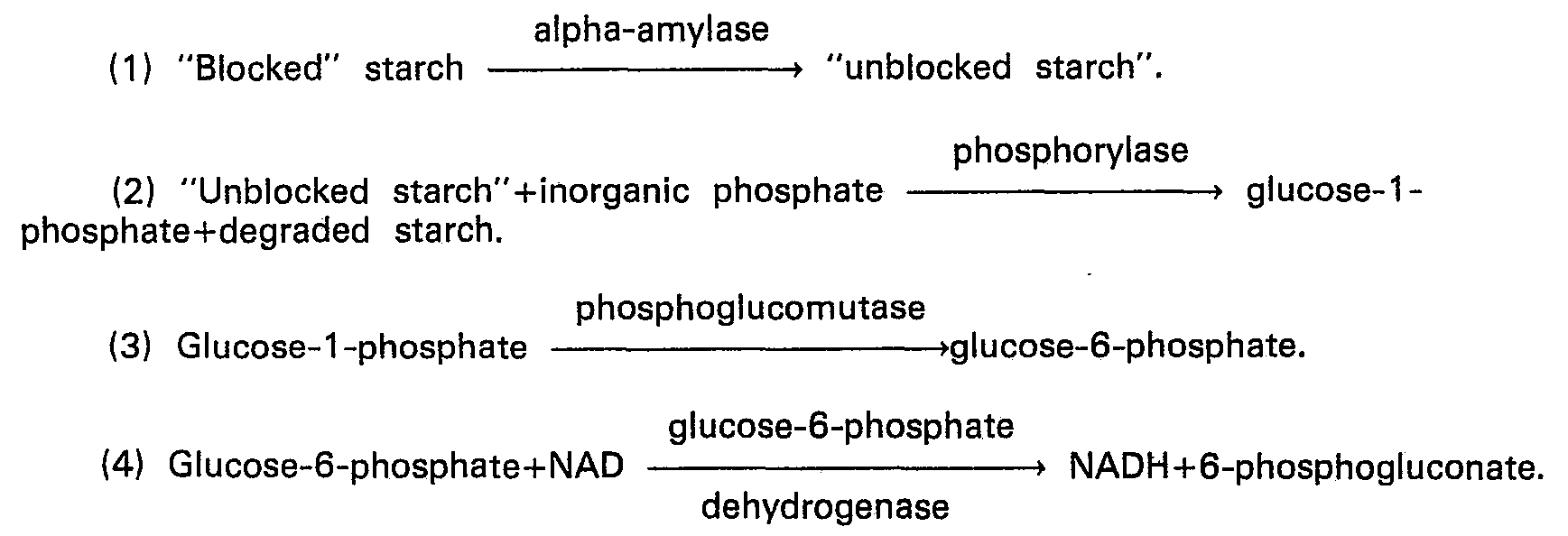 Enzyme assay protocol for amylase