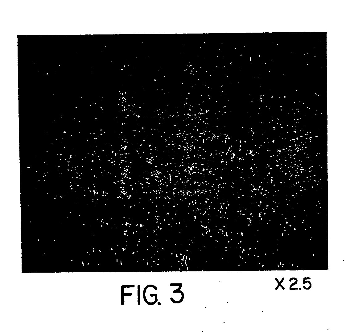bulky non-woven fabric of polybutylene terephthalate continuous