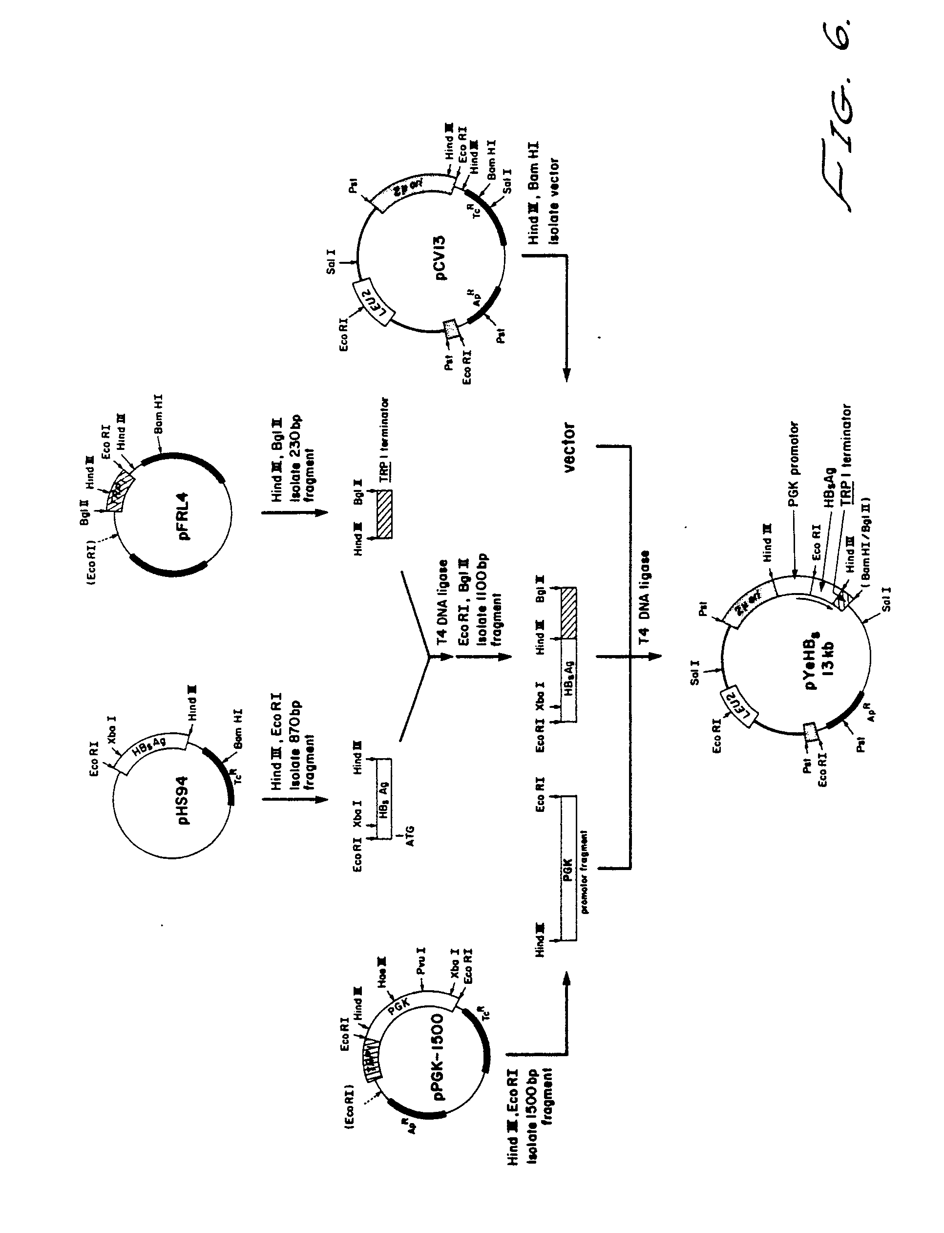 Patent EP0073657B1 Preparation of hepatitis b surface antigen in