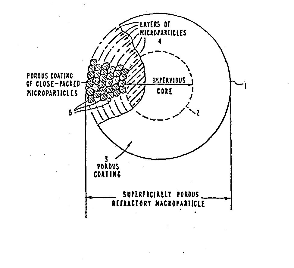 process for preparing superficially porous supports for