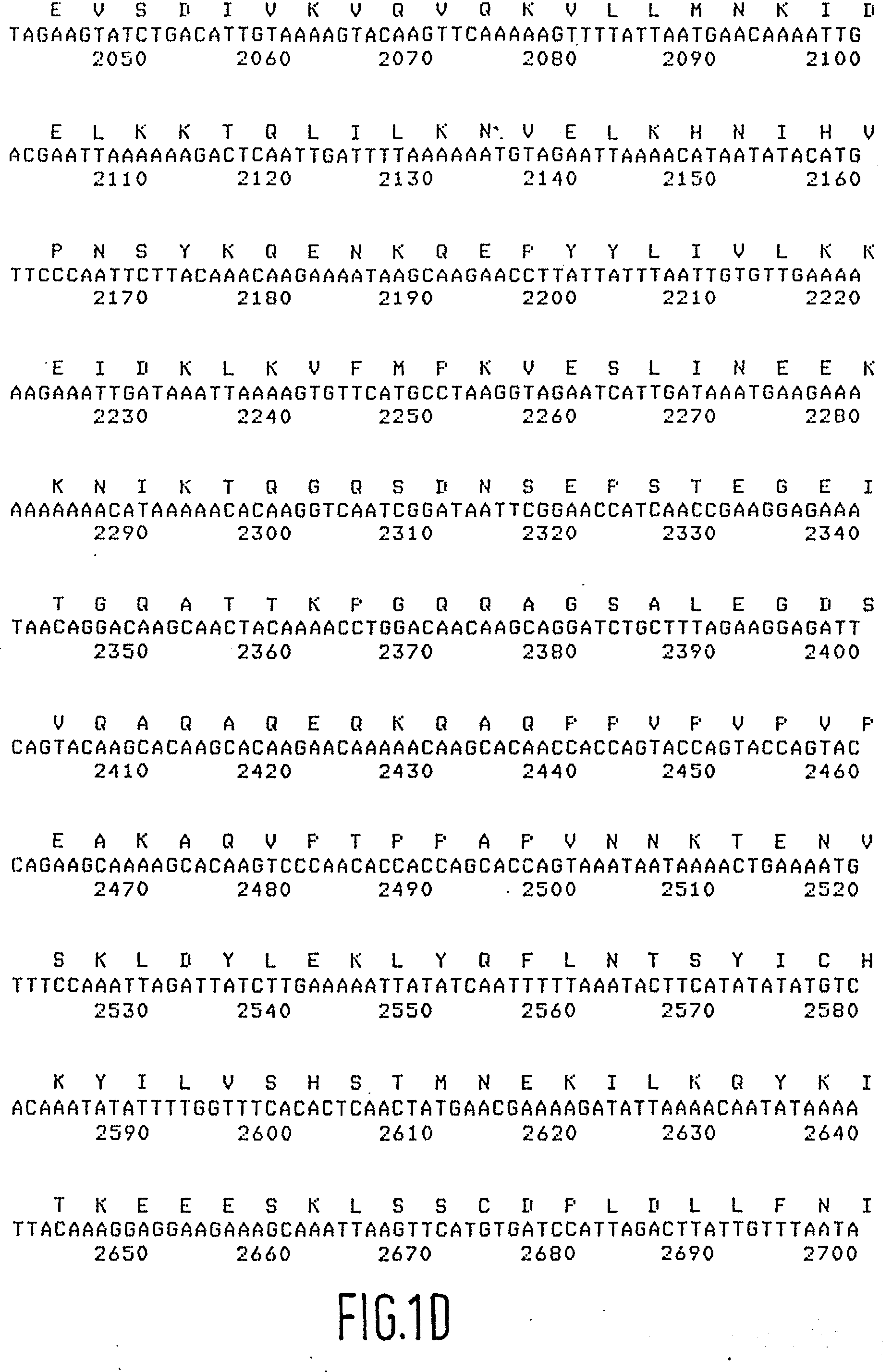 cloning of dna for protozoal antigens