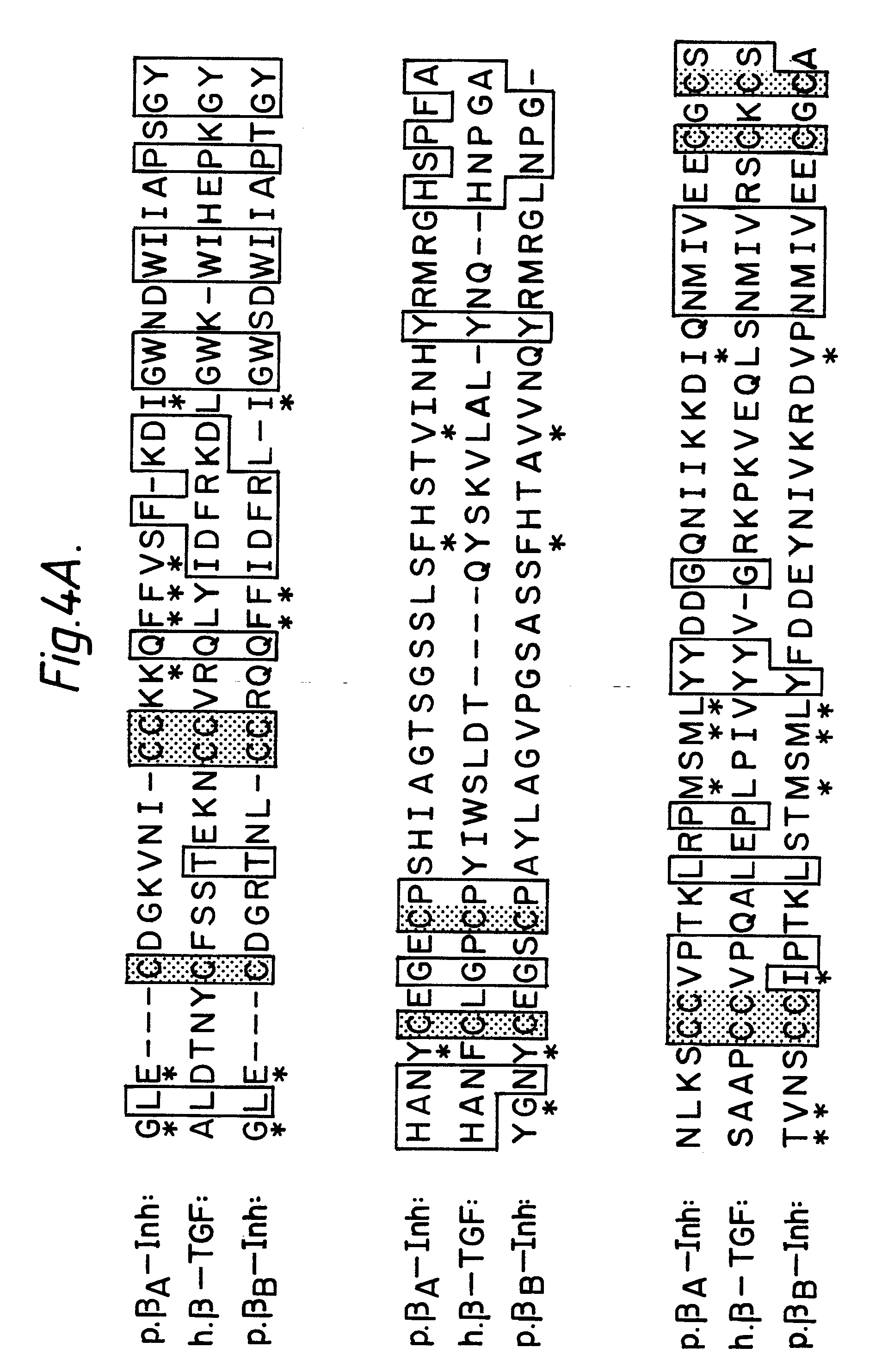 nucleic acid encoding the alpha or beta chains o