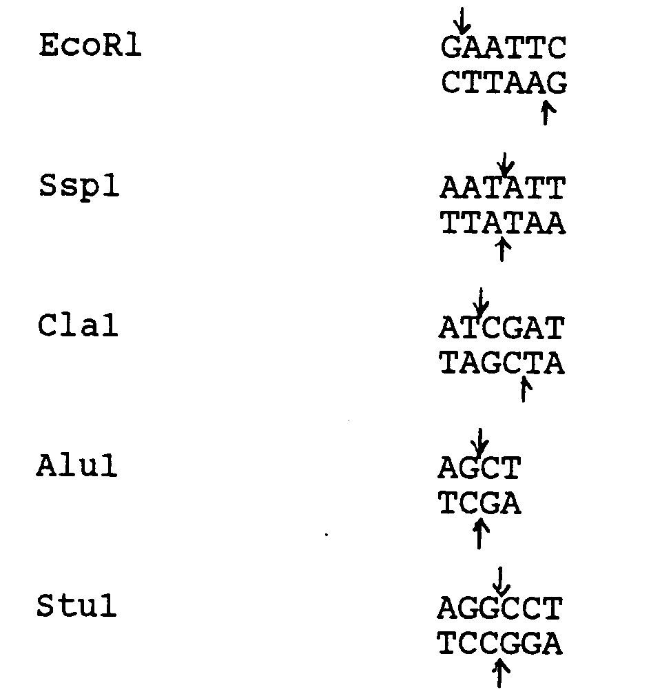 dna clone of human tissue factor inhibitor