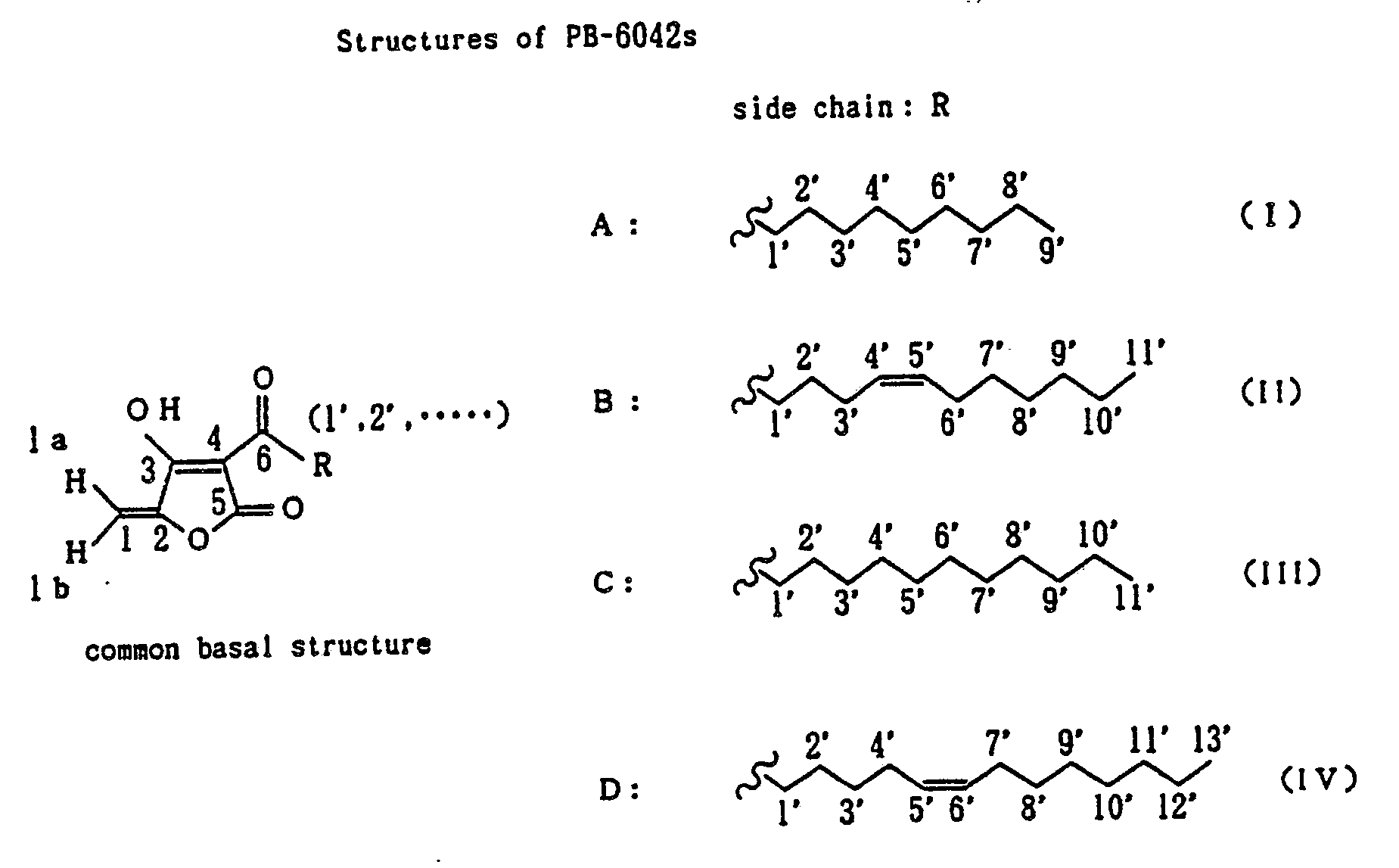antibiotics active against anaerobic bacteria, their production