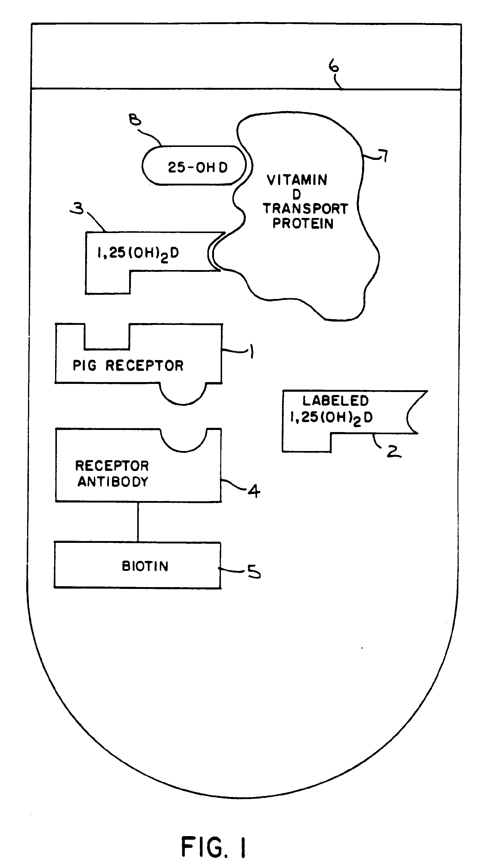 Patent EP0374172B1 Assay For 1 25 dihydroxy Vitamin D Google Patents patent-ep0374172b1-assay-for-1-25-dihydroxy-vitamin-d-google-patents