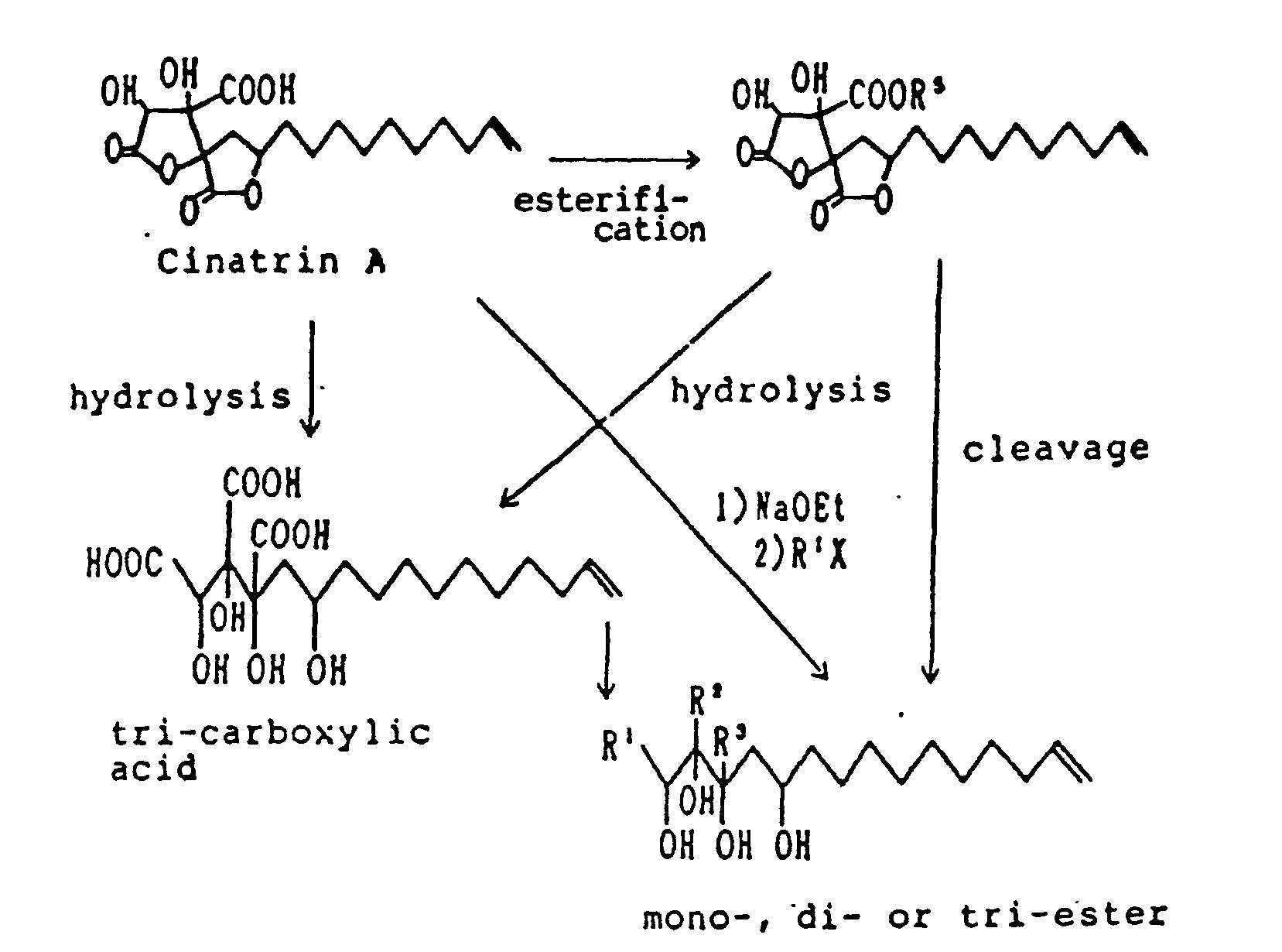 phospholipase a2 inhibitor, microorganisms producing said