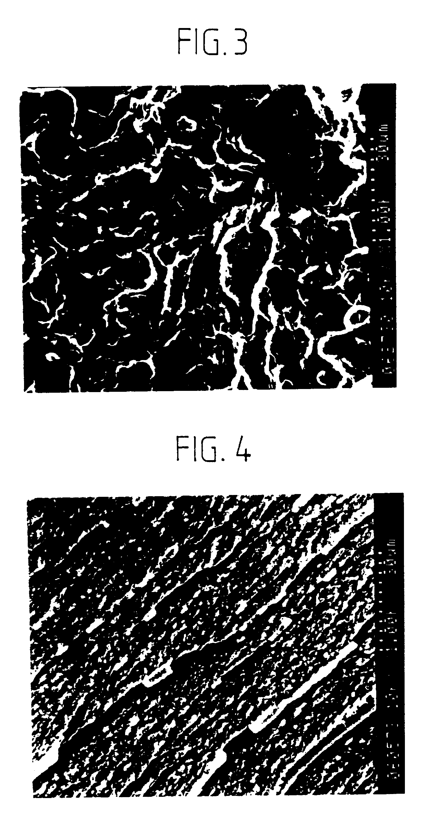 graft copolymer and process for producing the same