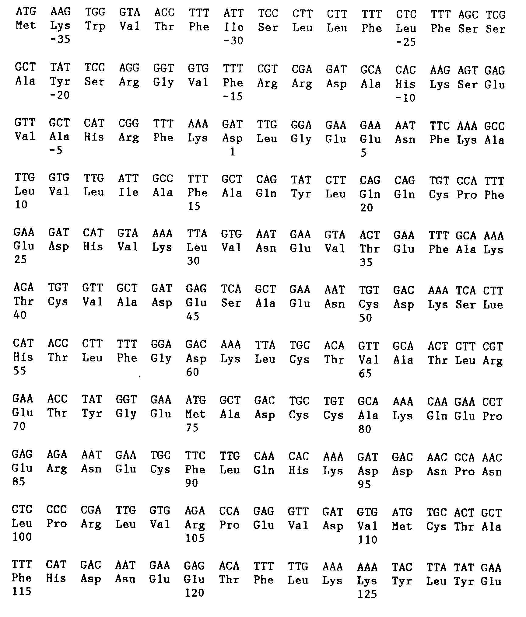 expression of human serum albumin in pichia pastoris