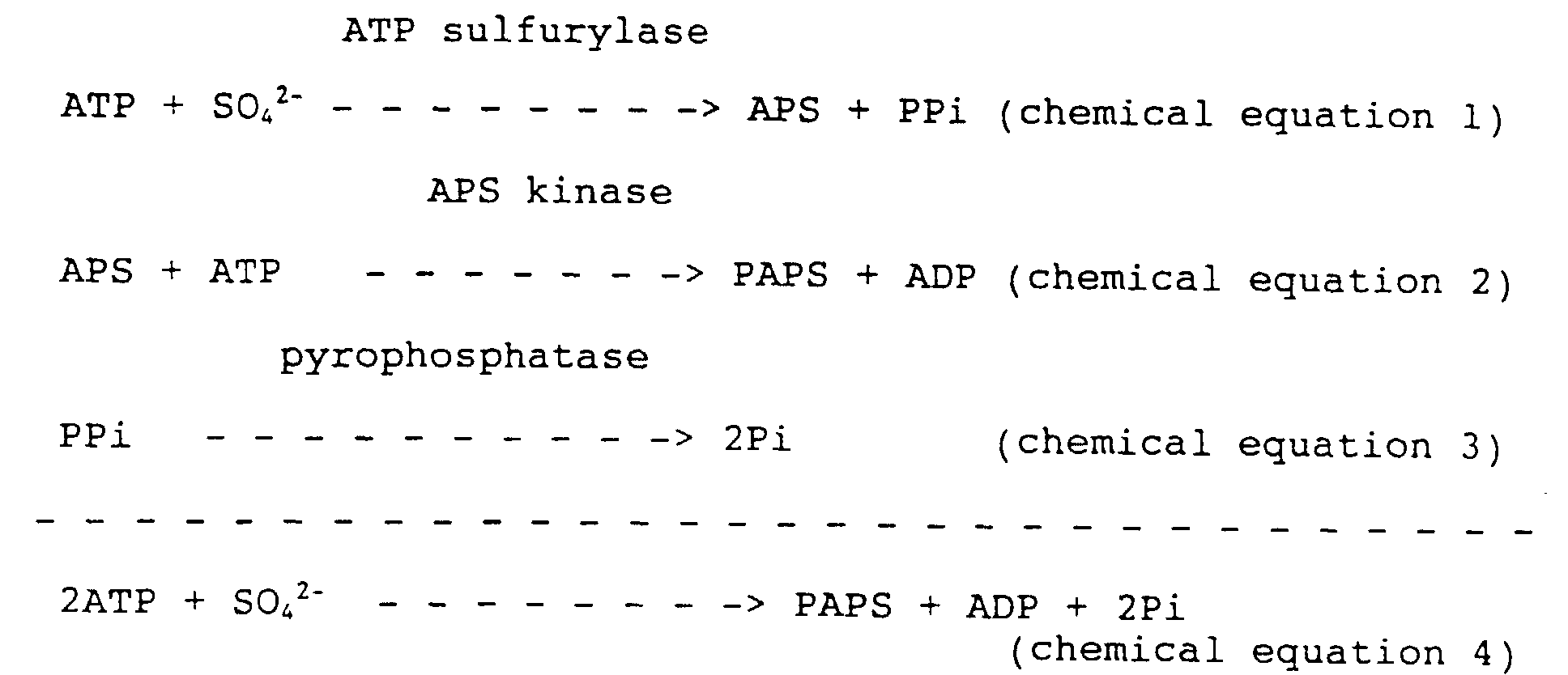 Patent Ep0542292b1 Method For Producing 3 Phosphoadenosine 5 In The Above Chemical Equations Ppi Is Pyrophosphoric Acid And Pi Phosphoric As Described It Very Difficult To Produce Paps On An