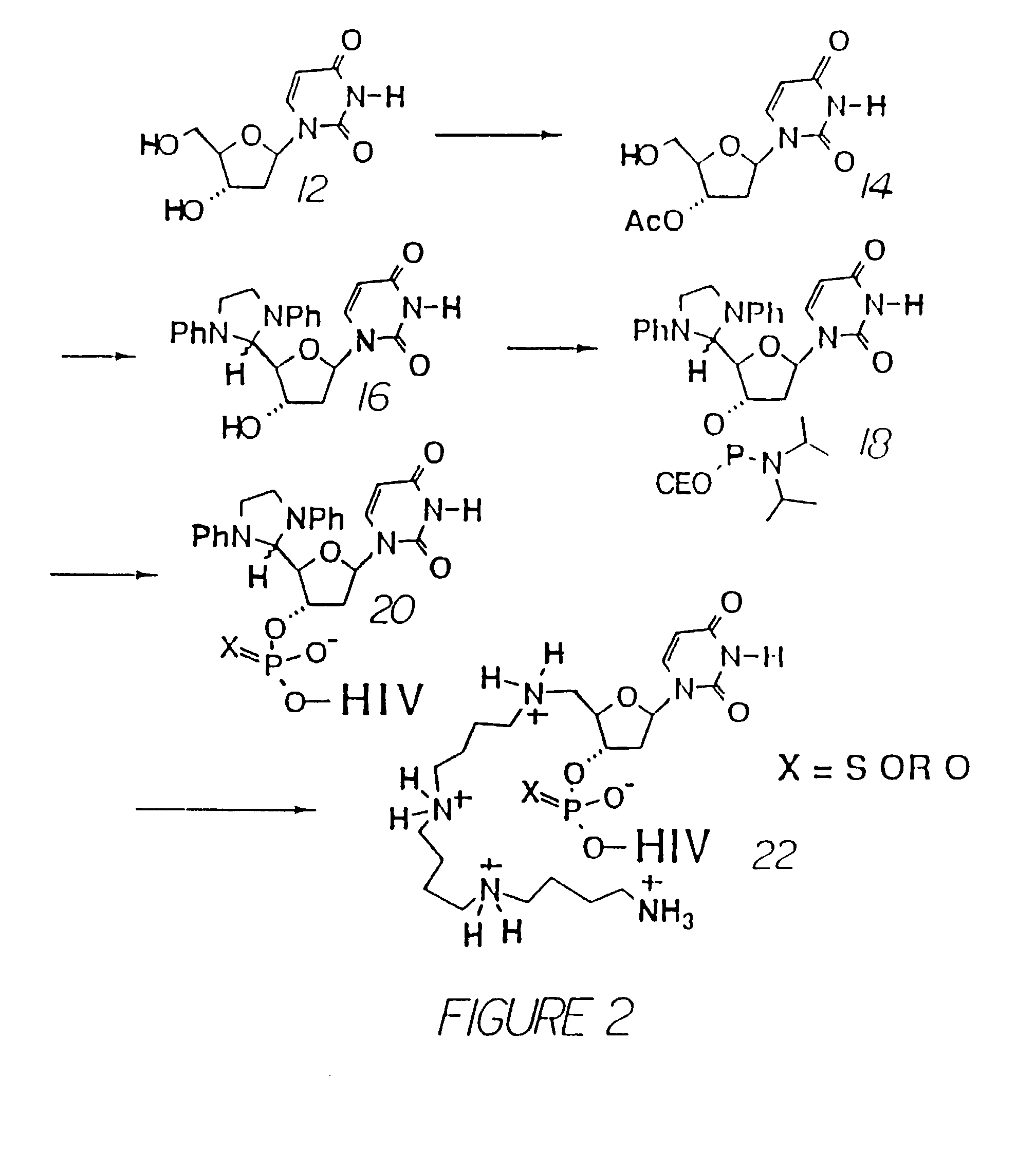 neue mit polyamin konjugierte oligonukleotide
