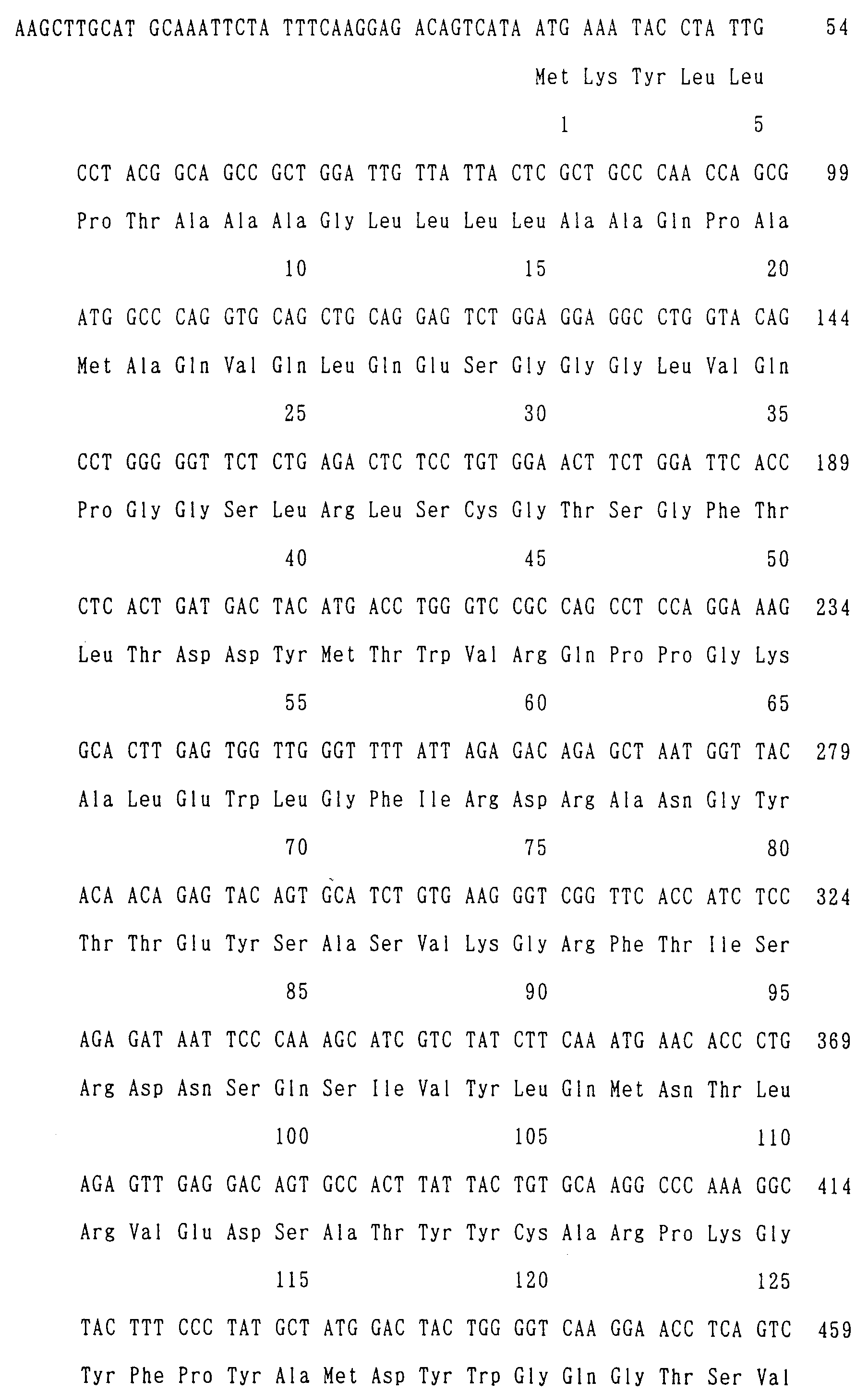 a dna which codes for the variable region of the anti-human