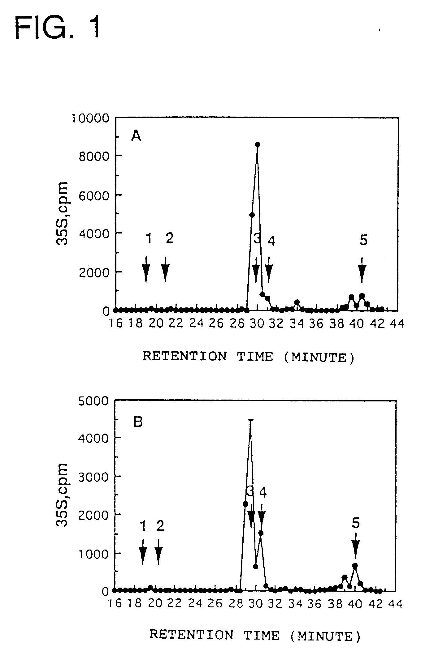 heparan sulfate 6-0-sulfotransferase