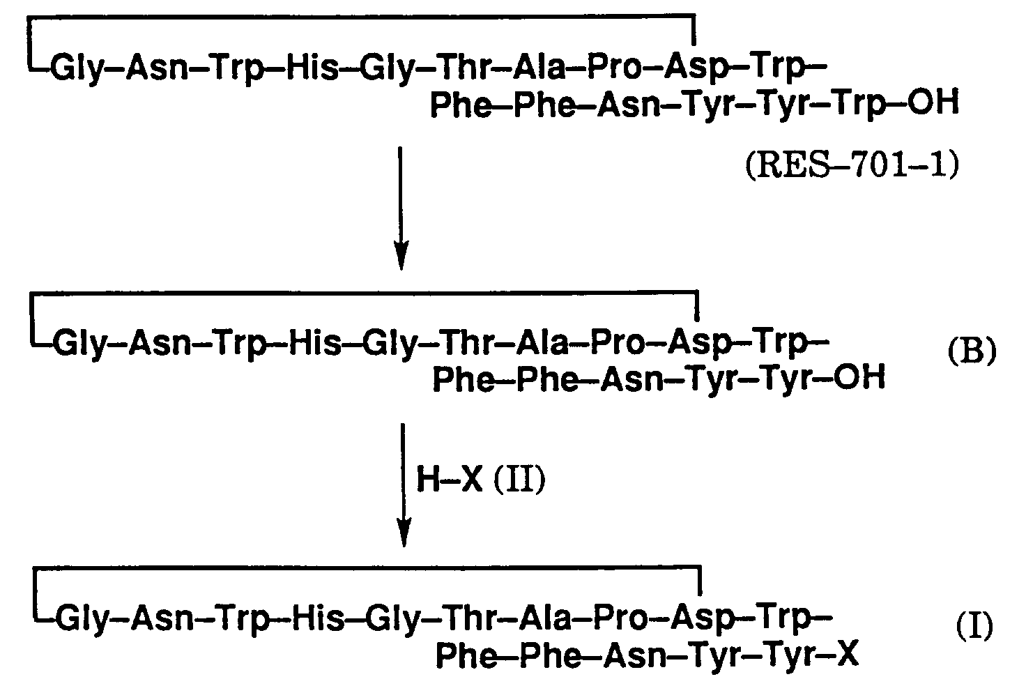 endothelin-antagonizing peptide