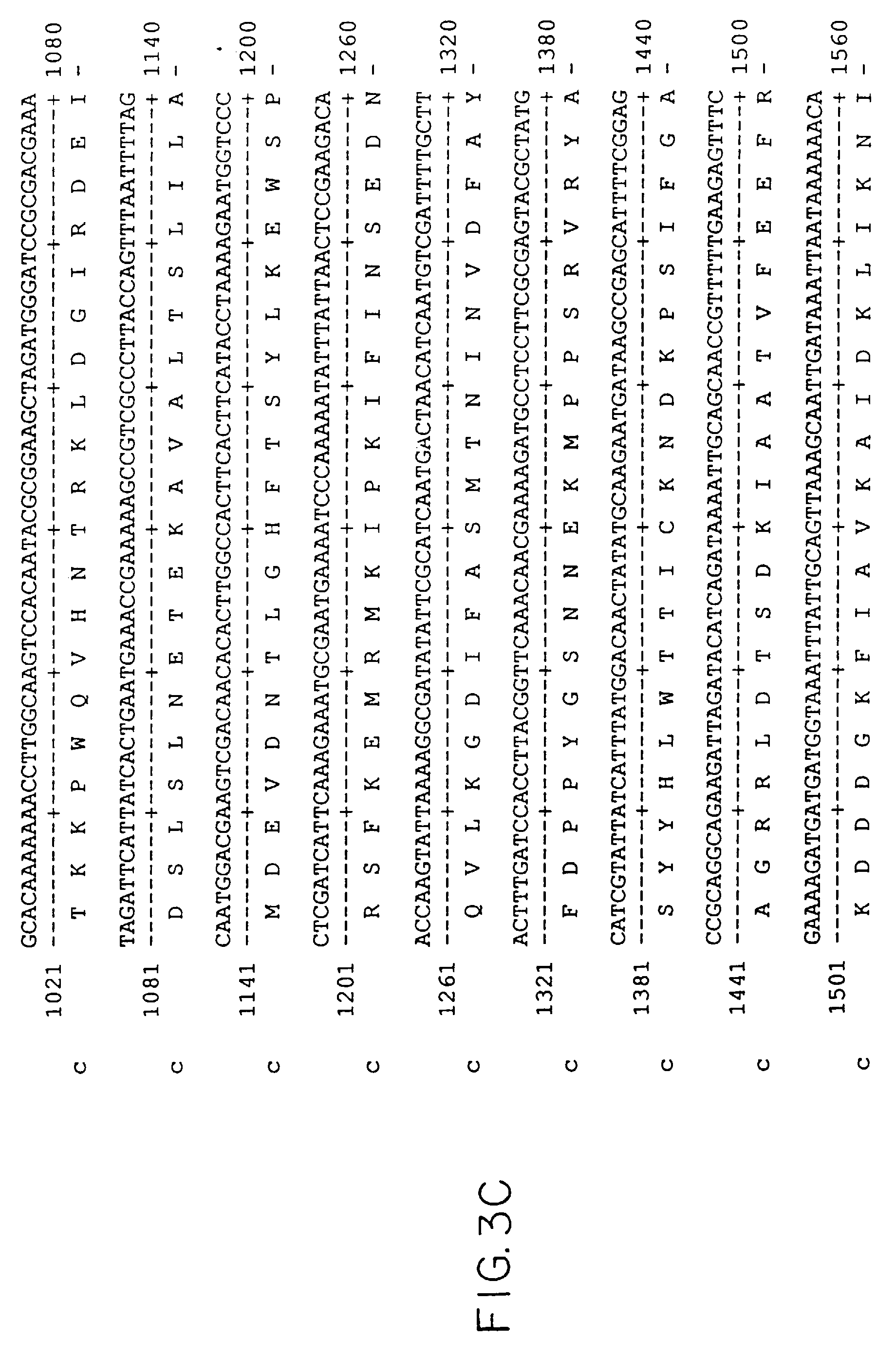method for producing the sspi restriction endonuclease and