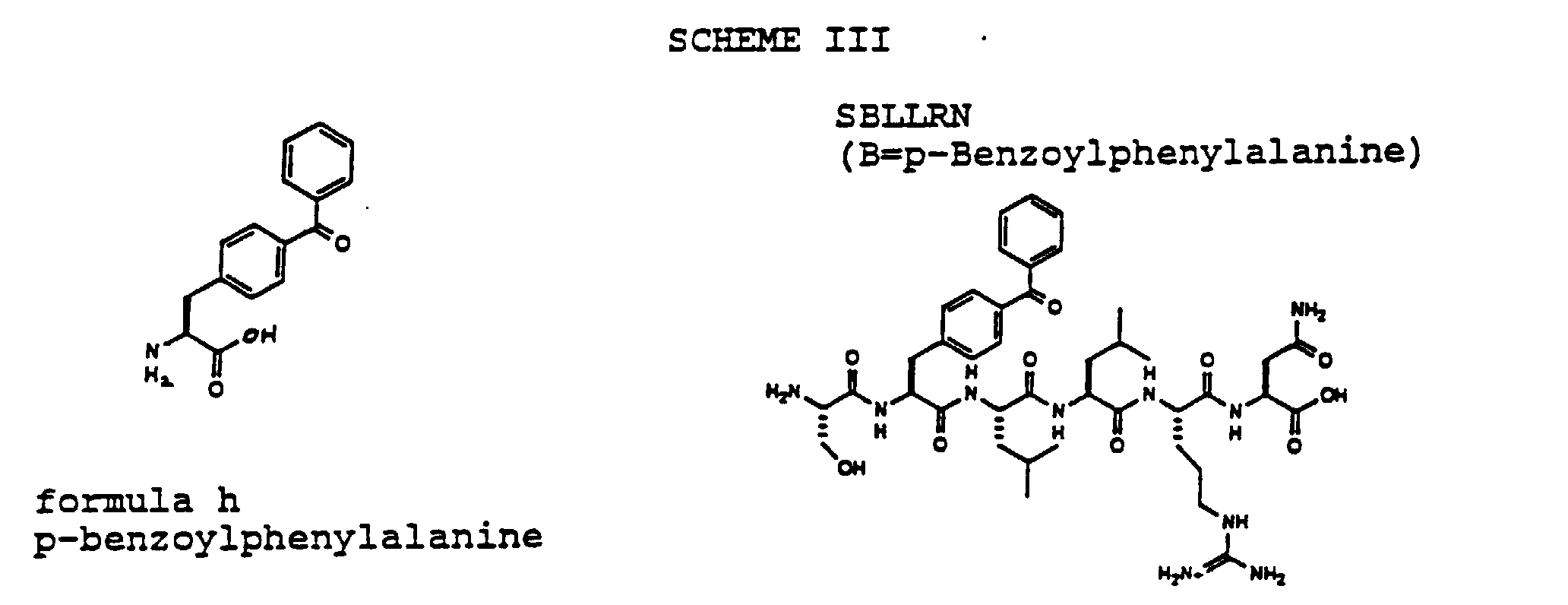 serotonin weight loss studies serotonin weight loss studies