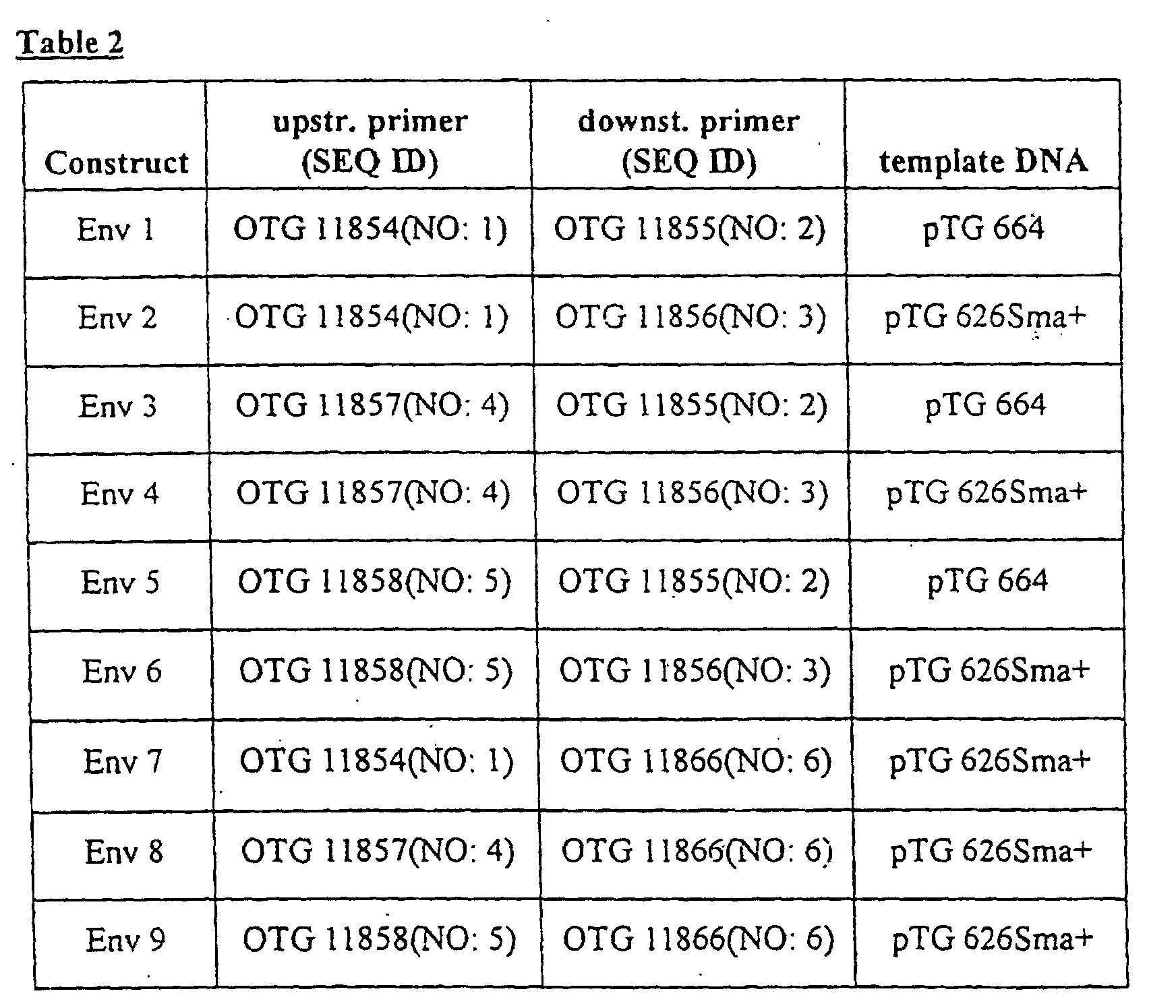 expression of a modified foamy virus envelope protein