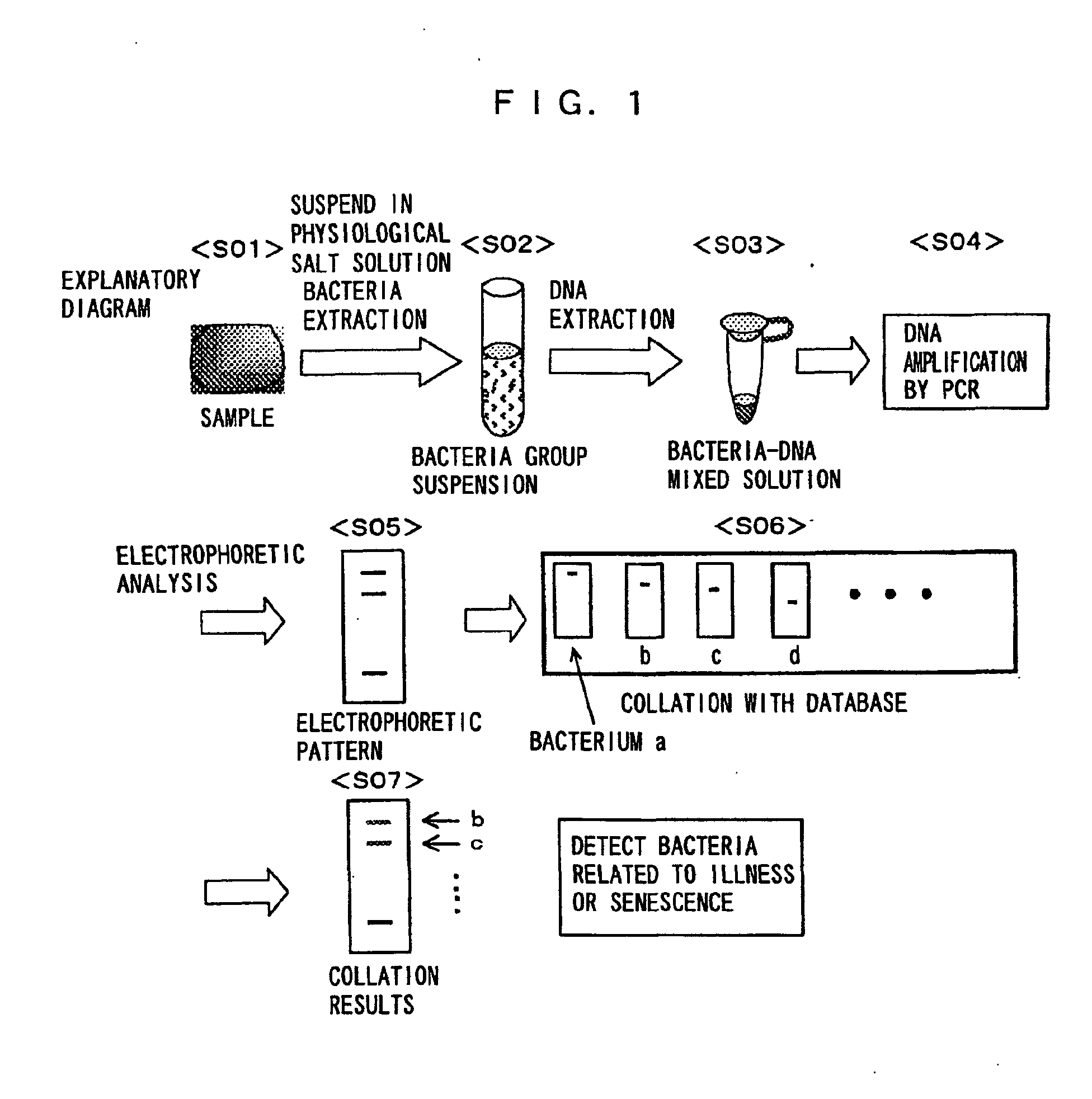 method of analyzing intestinal flora and analytical apparatus