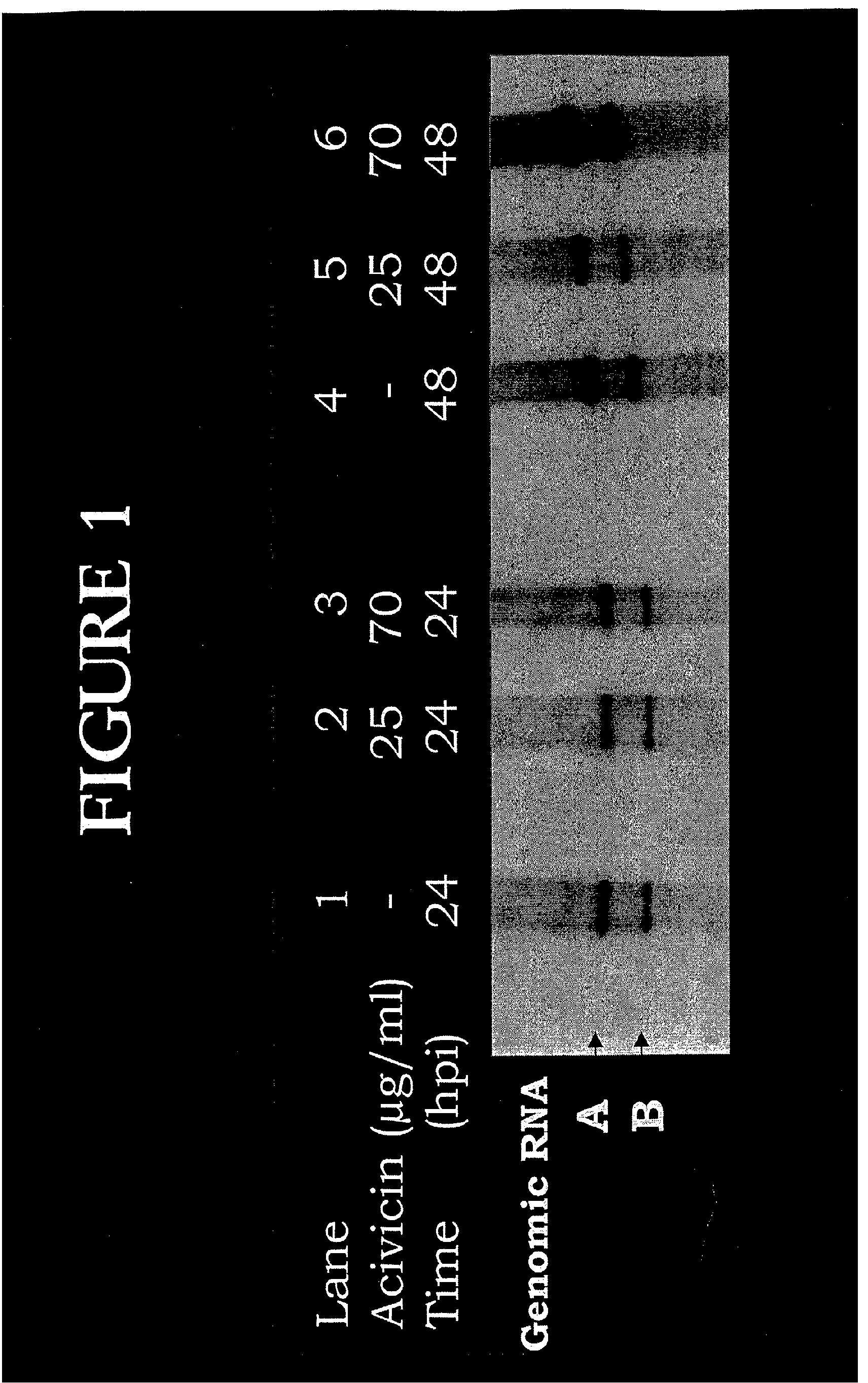 compositions for increasing the survival of aquatic