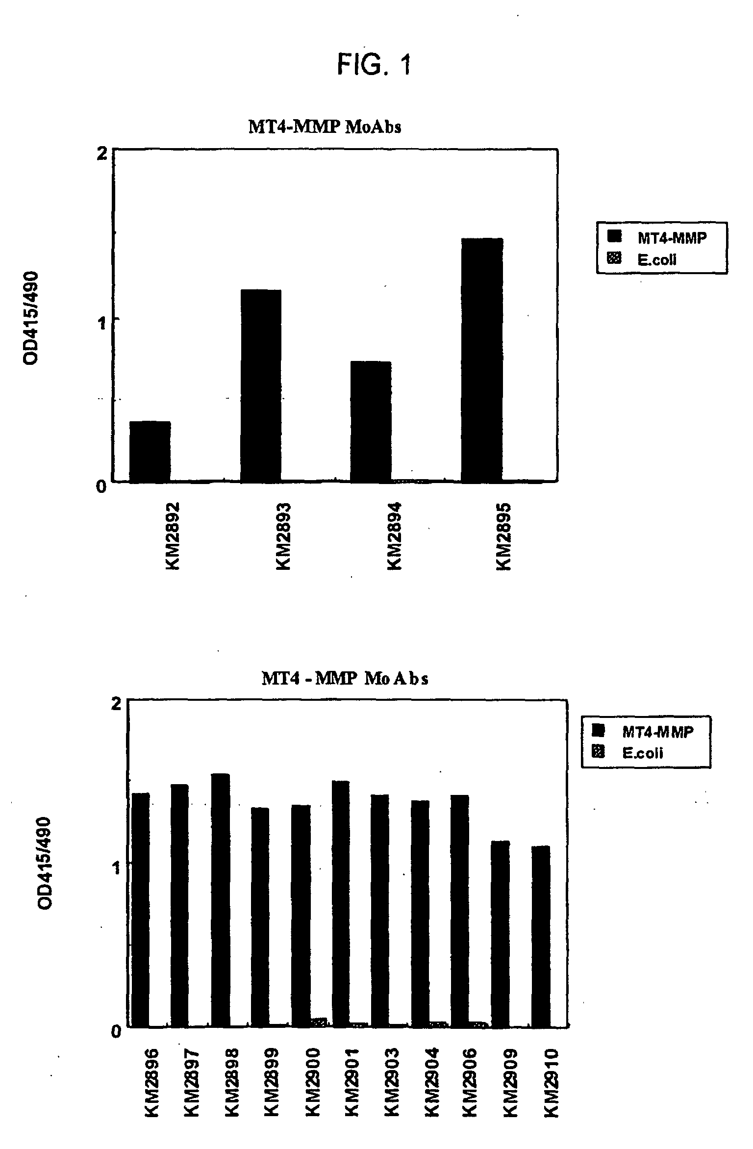 Structure cristalline du domaine de liaison aux récepteurs du coronavirus respiratoire NL63 complexé avec son récepteur humain Structure cristalline du domaine de liaison aux récepteurs du coronavirus respiratoire NL63 complexé avec son récepteur humain