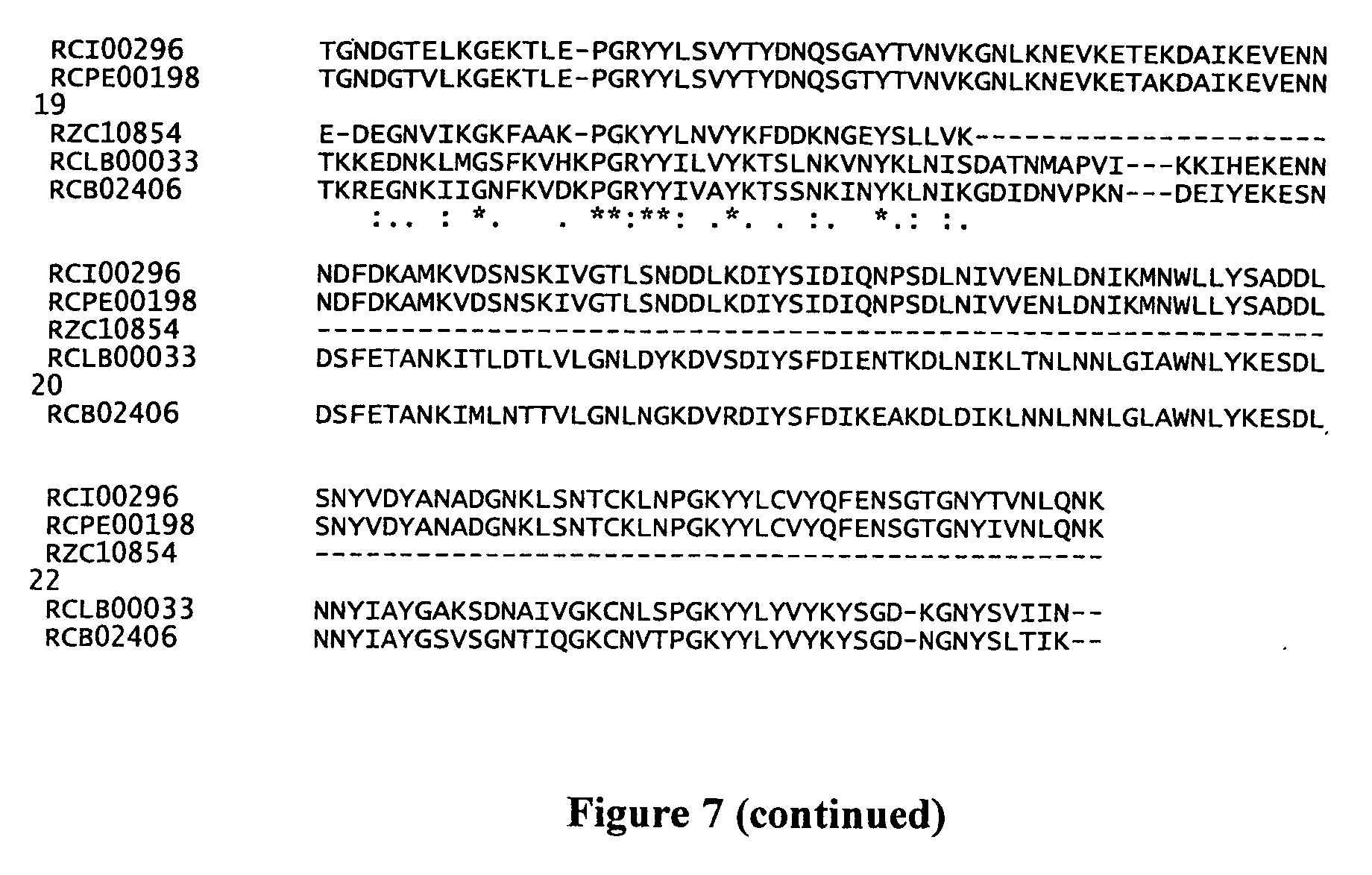 collagenase aus clostridium tetani und ihre verwendungen