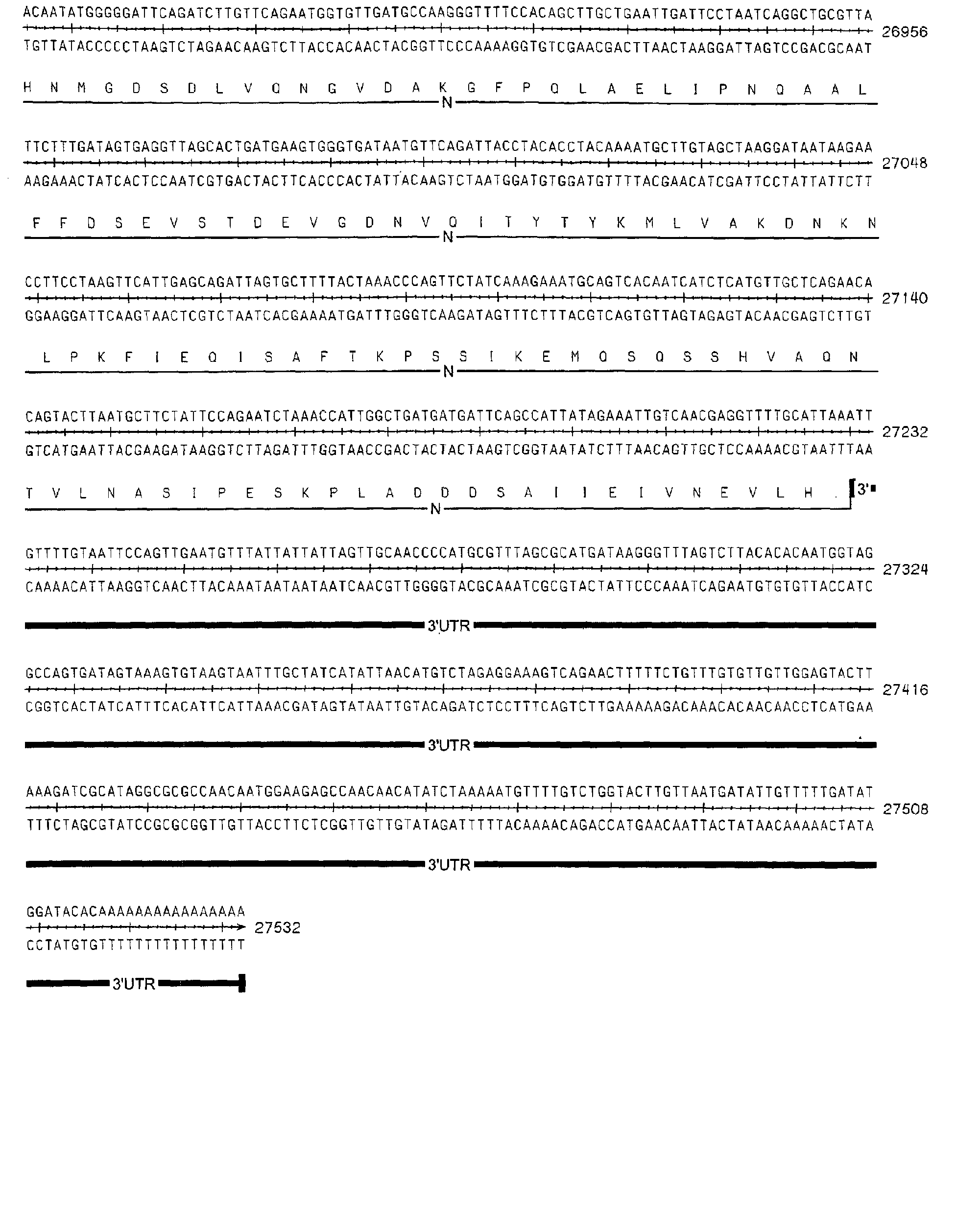 novel atypical pneumonia-causing virus