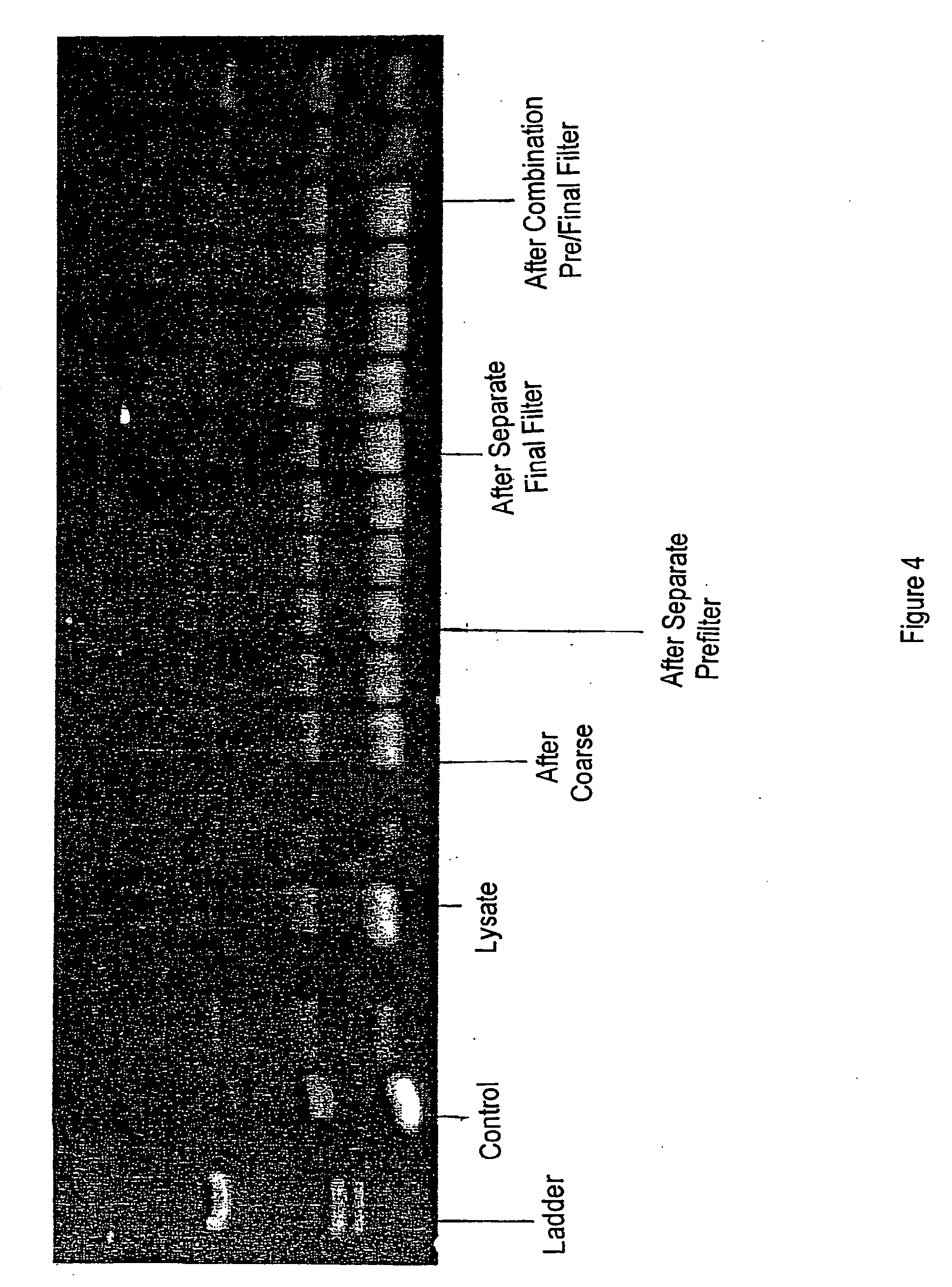 plasmid dna purification by filtration