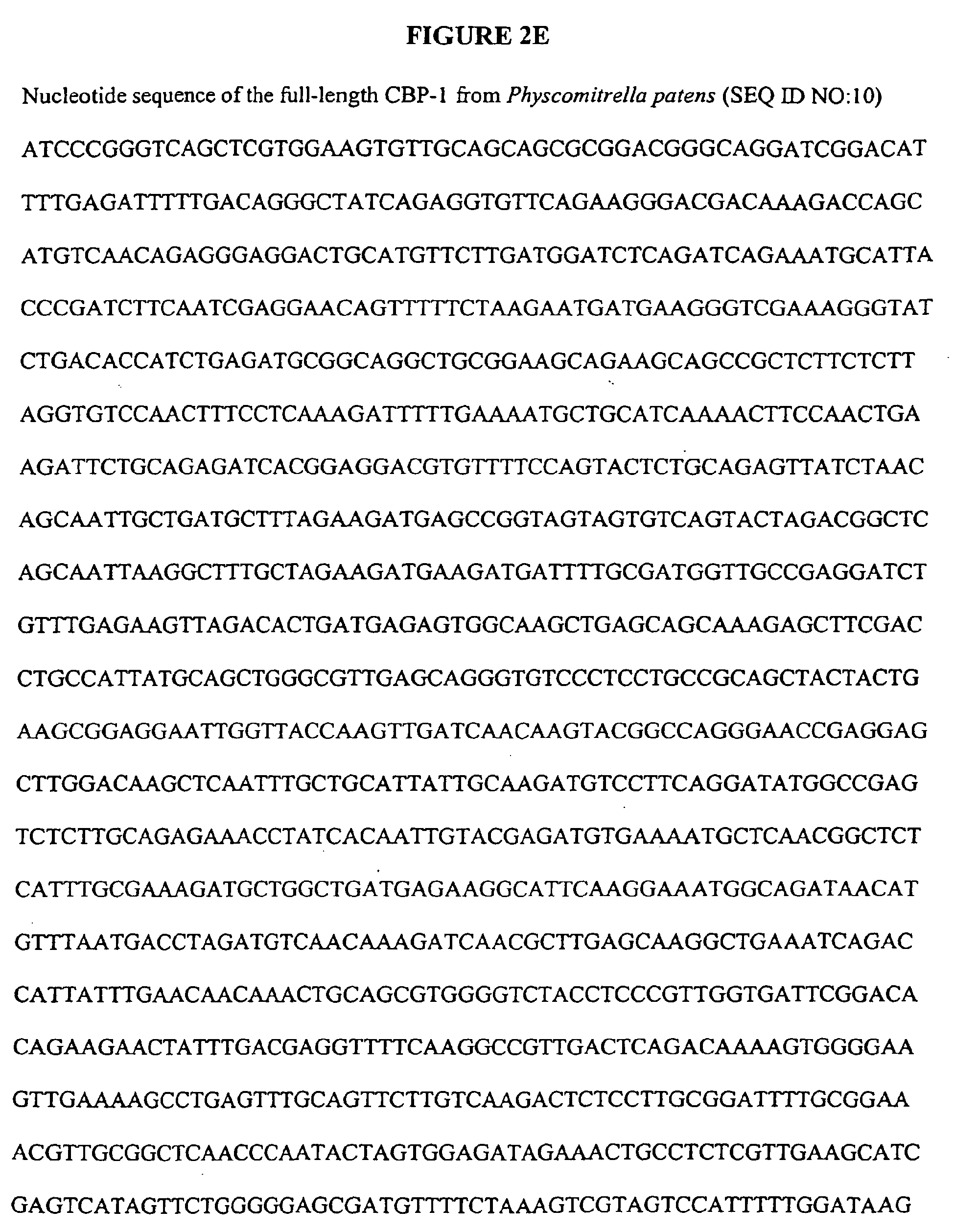 in the regulation of h-atpase activity in the plasma membrane