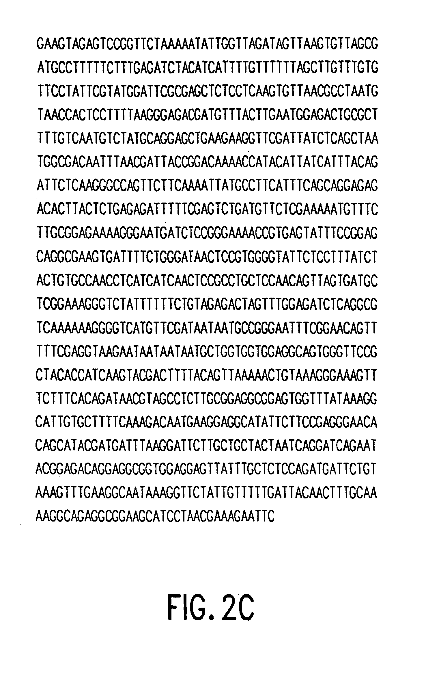 专利ep1862472a2 - chlamydia-protein, gensequenz und verwendung