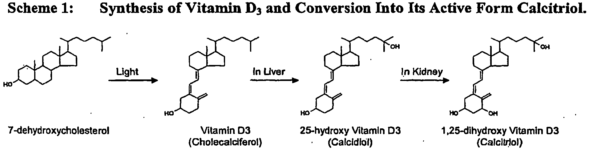 One Alpha Hydroxylase