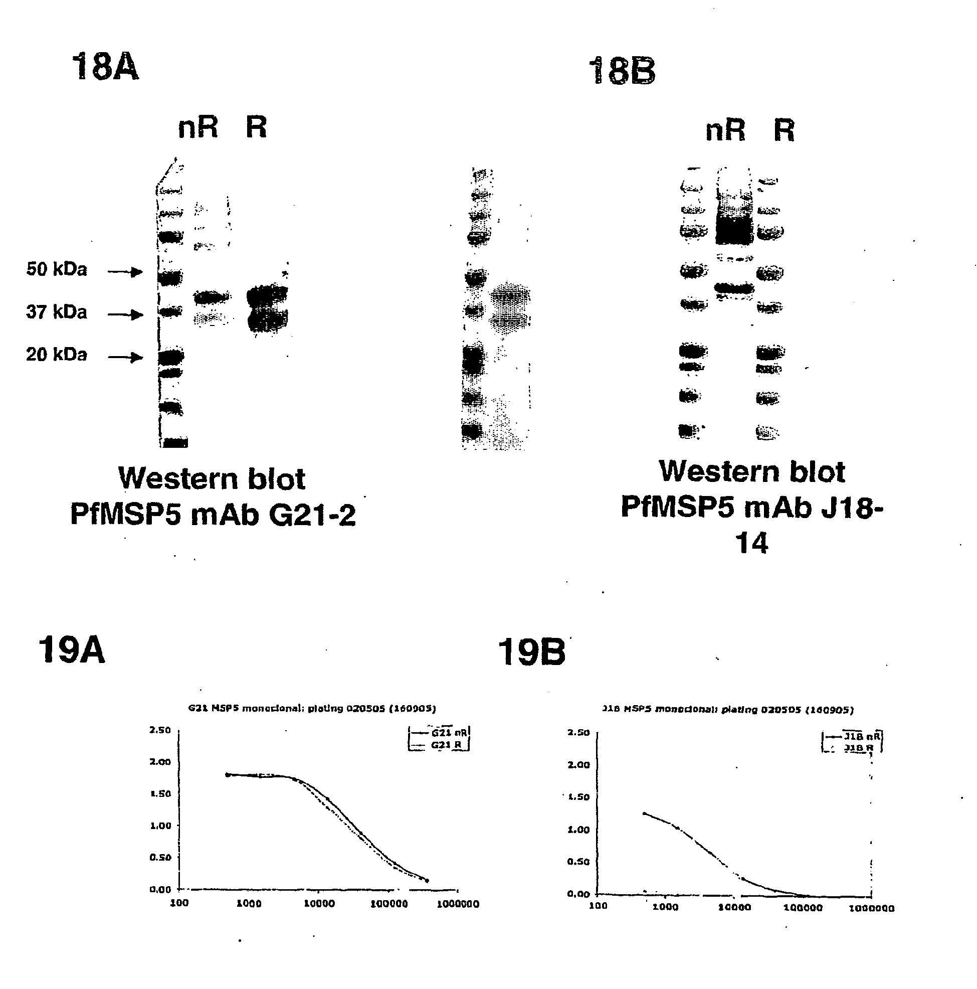 recombinant plasmodium falciparum merozoite surface proteins 4