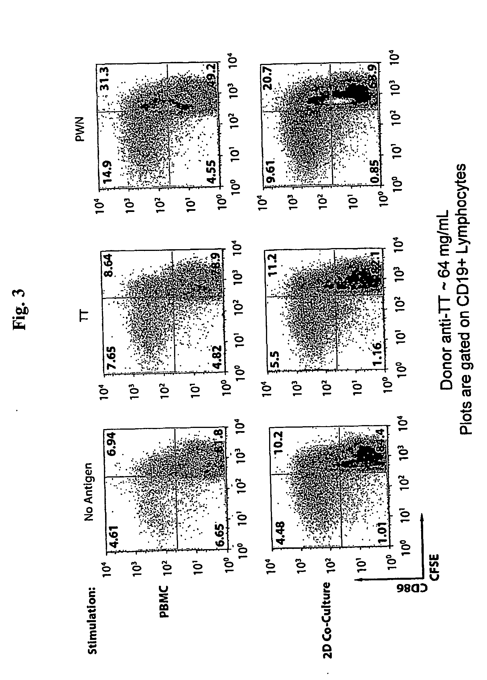 co-culture lymphoid tissue equivalent (lte) for an artificial