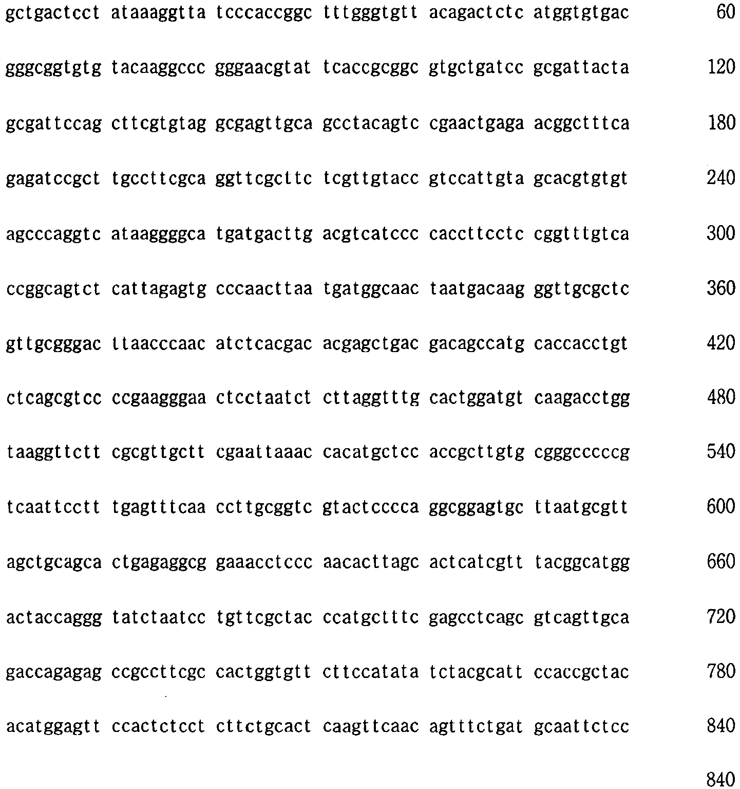 lactic acid bacteria isolated from mothers milk with probiotic
